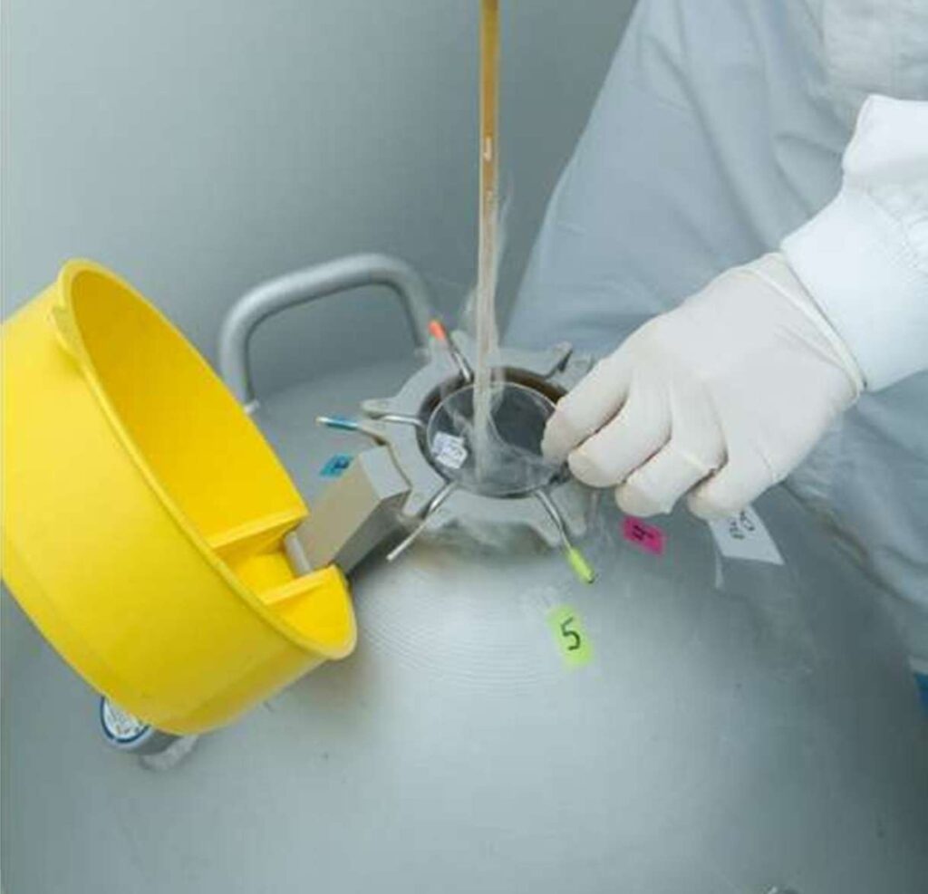 preservação da fertilidade