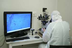 Embriologista usando microscópio 