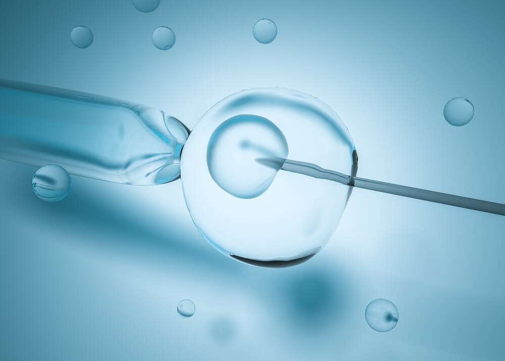 Tudo sobre fertilização in vitro: tire aqui suas dúvidas