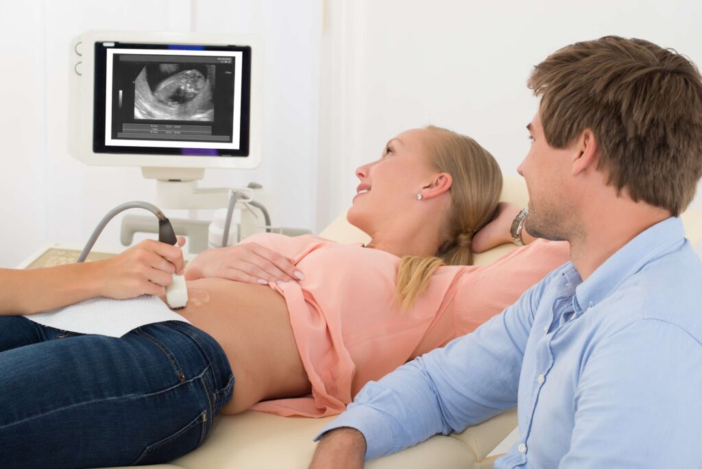 Novas regras da reprodução assistida