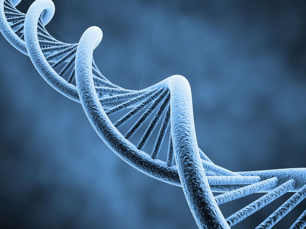 Fragmentação do DNA Espermático