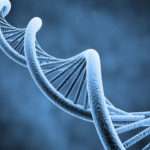 Fragmentação do DNA Espermático