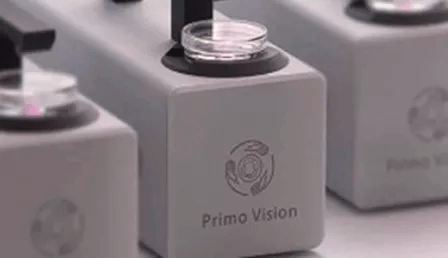 Primo Vision