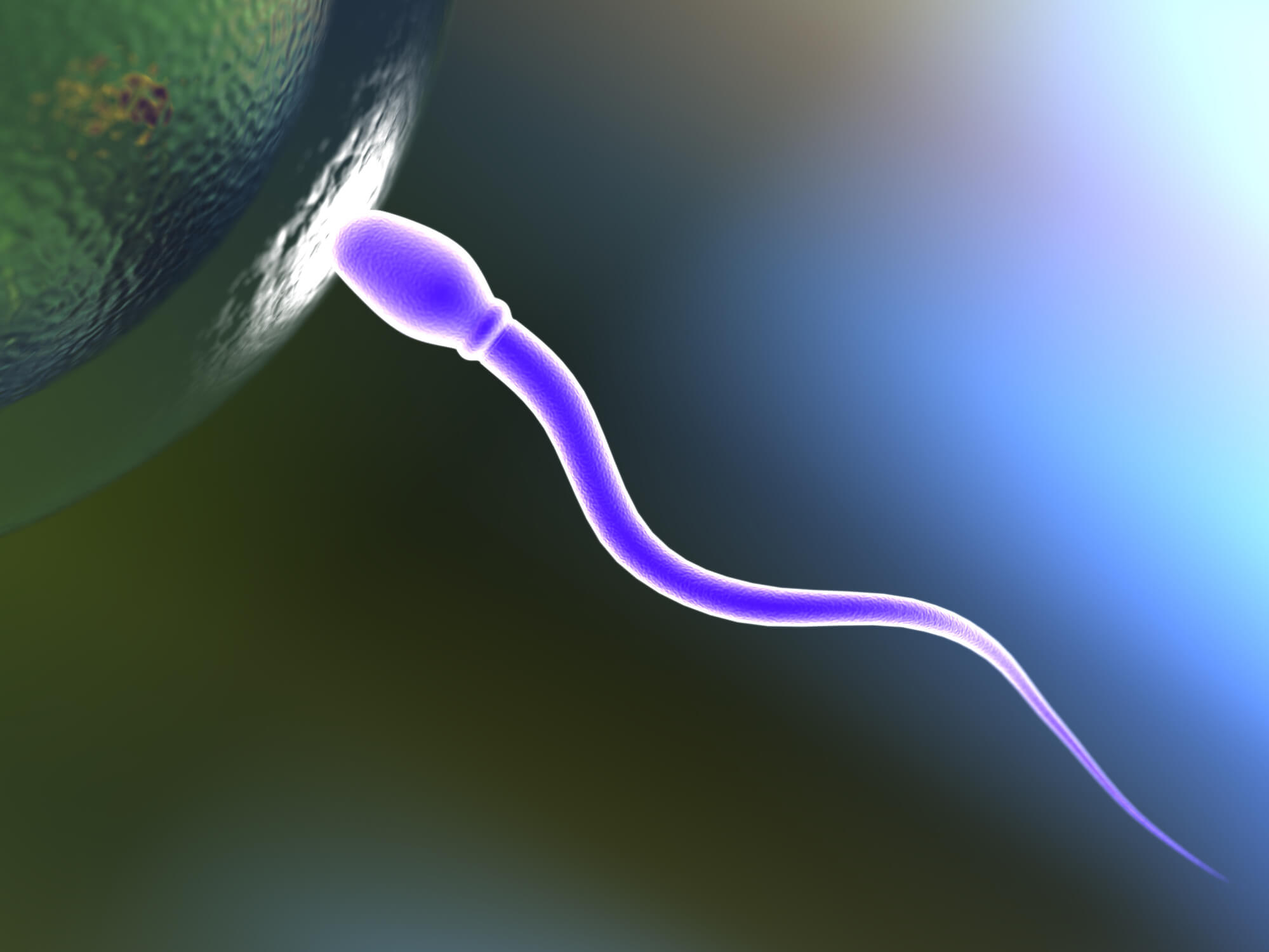 Descubra se o aspecto do sêmen pode ser sinal de infertilidade