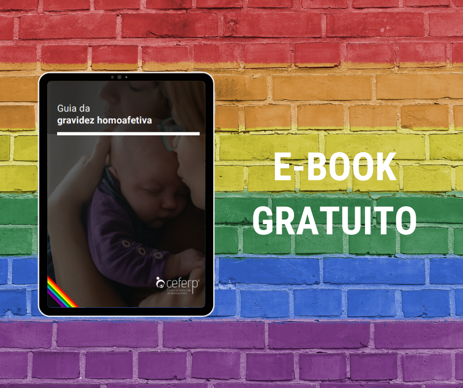 eBook   Gravidez Homoafetiva 
