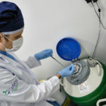 embriologista colocando no botijão de nitrogênio líquido os óvulos congelados