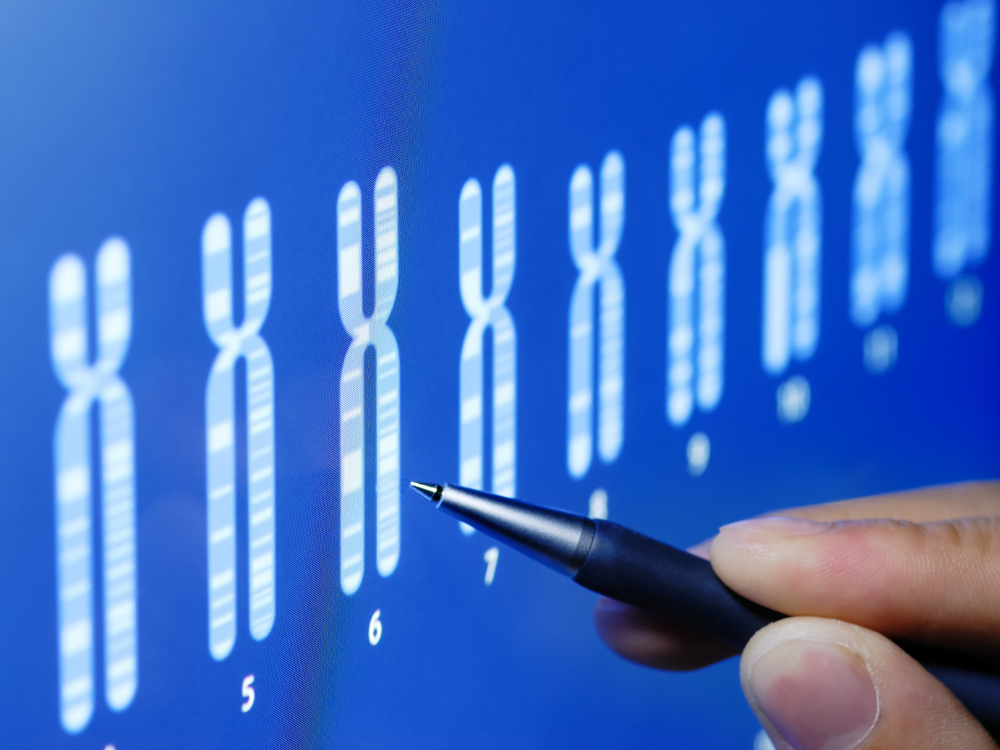 A importância do estudo genético para a identificação de aneuploidia