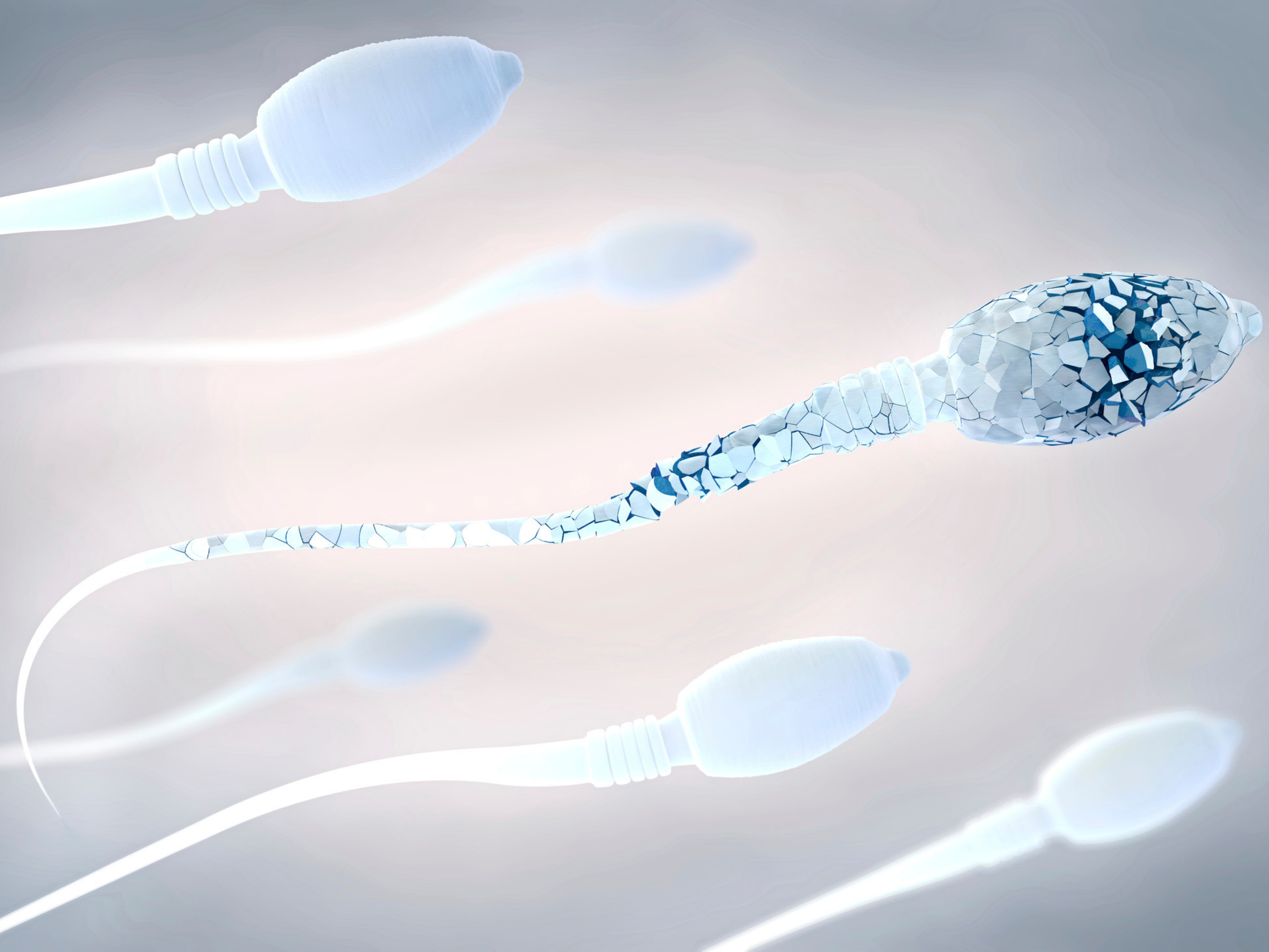 Qualidade seminal: entenda sobre a fertilidade masculina