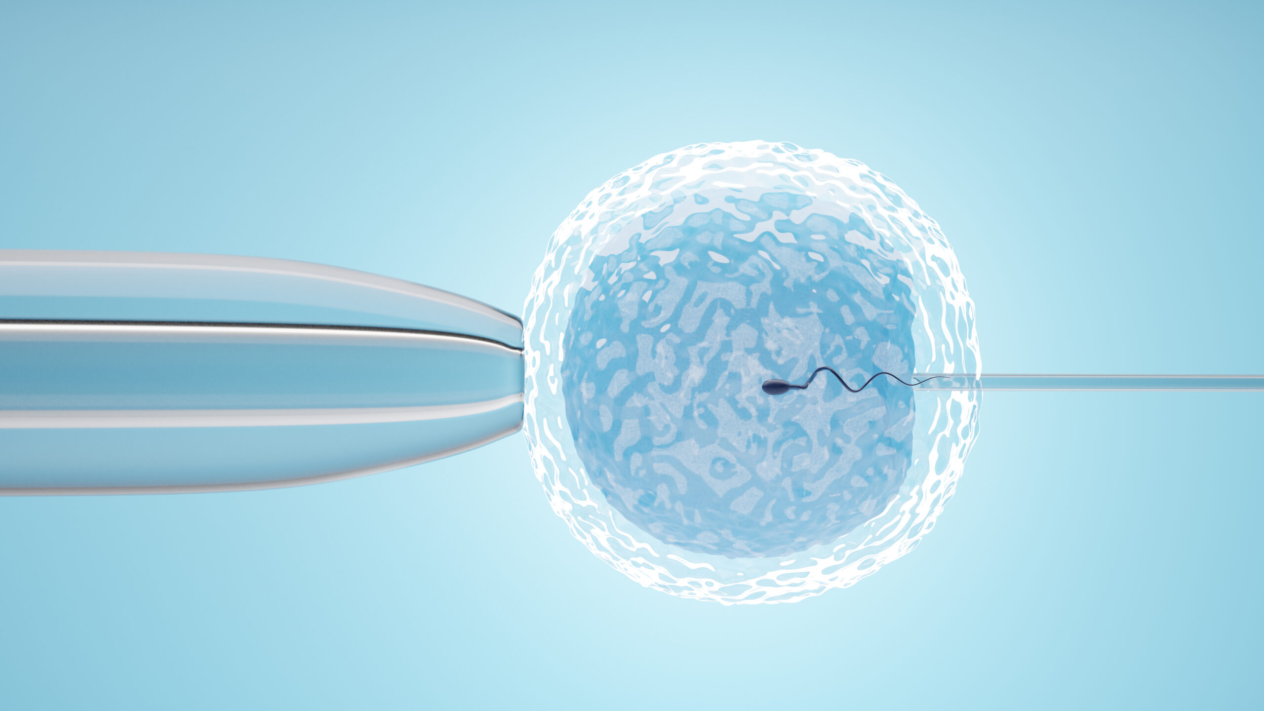 10 passos para iniciar seu tratamento de reprodução assistida em 2024