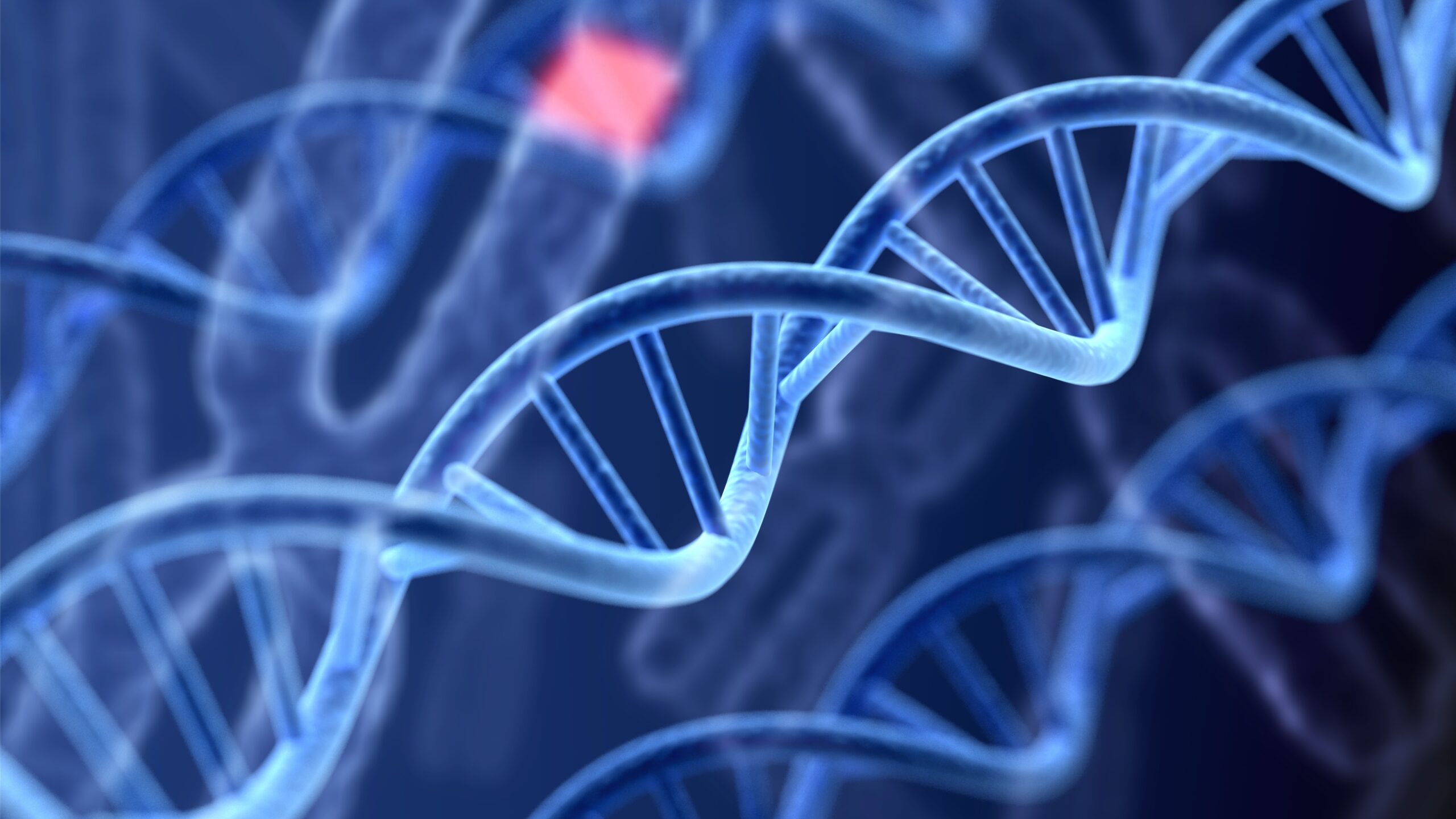 Fragmentação do DNA espermático
