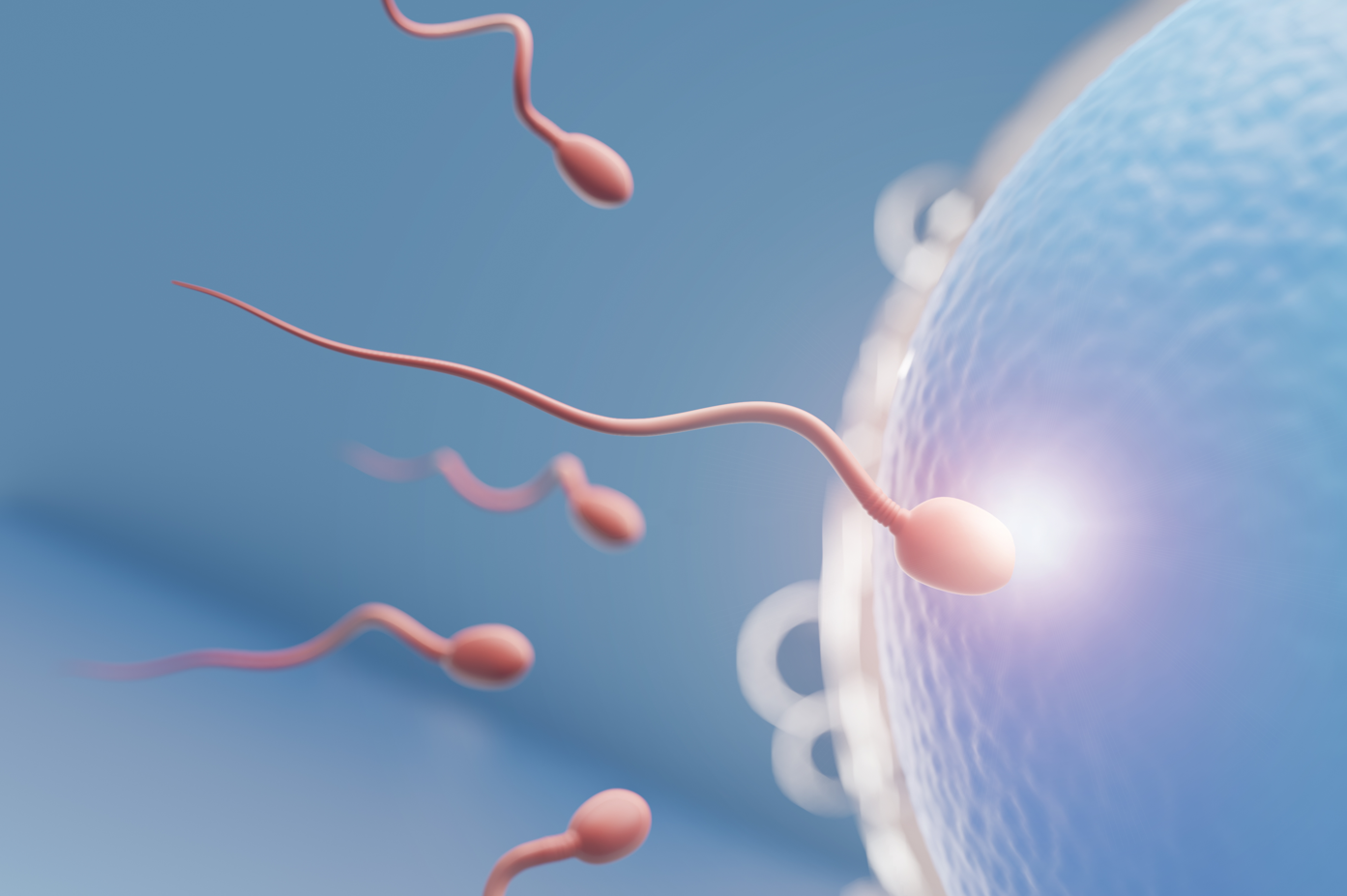 mitos sobre fertilidade